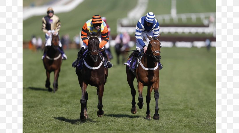 RSA Insurance Novices' Chase Jockey The Grand National Horse Cheltenham Festival, PNG, 1146x637px, Jockey, Animal Sports, Cheltenham Festival, Cheltenham Gold Cup, Endurance Riding Download Free