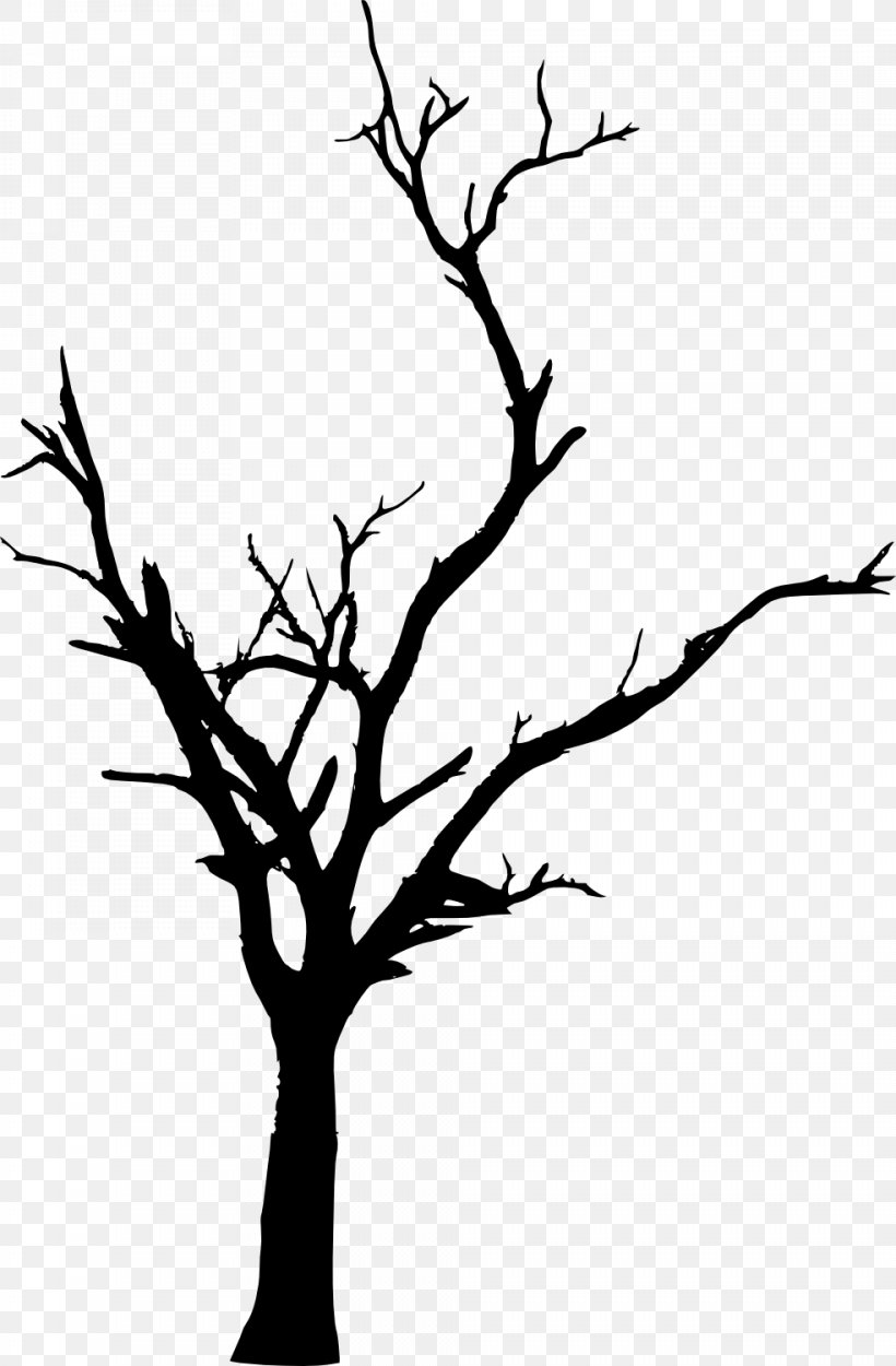 Tree Woody Plant Branch Twig Clip Art, PNG, 984x1500px, Tree, Artwork, Black And White, Branch, Flora Download Free