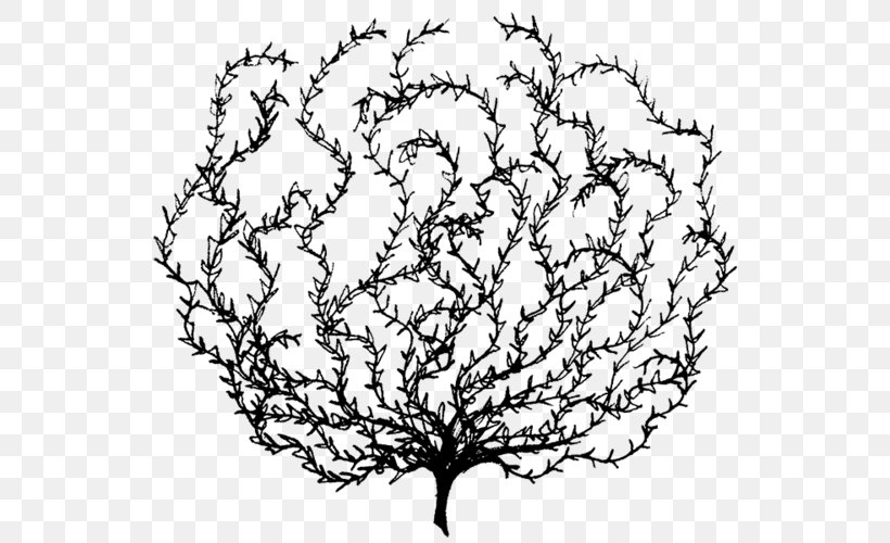 Drawing Tree, PNG, 750x500px, Tumbleweed, Blog, Desert, Drawing, Leaf Download Free