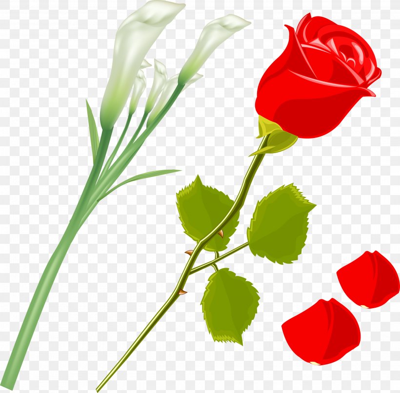 Garden Roses Flower Rosa Gallica Clip Art, PNG, 2900x2851px, Garden Roses, Bud, Cut Flowers, Flora, Floral Design Download Free
