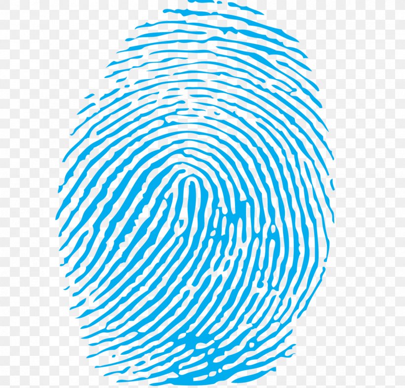 Clip Art Fingerprint Image, PNG, 1199x1148px, Fingerprint, Area, Biometrics, Drawing, Email Download Free