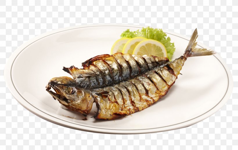 Barbecue Grill Fish Dish Roasting, PNG, 2356x1483px, Barbecue Grill, Animal Source Foods, Dish, Fish, Fish Products Download Free