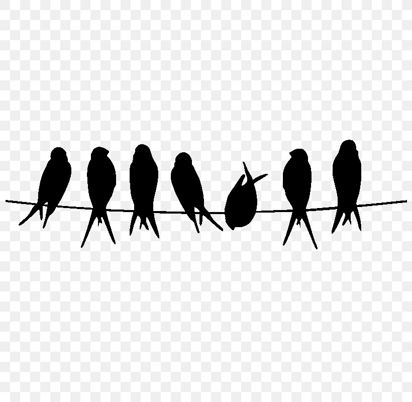 Bird Stencil Silhouette Owl Common Kingfisher, PNG, 800x800px, Bird, Art, Beak, Branch, Common Kingfisher Download Free
