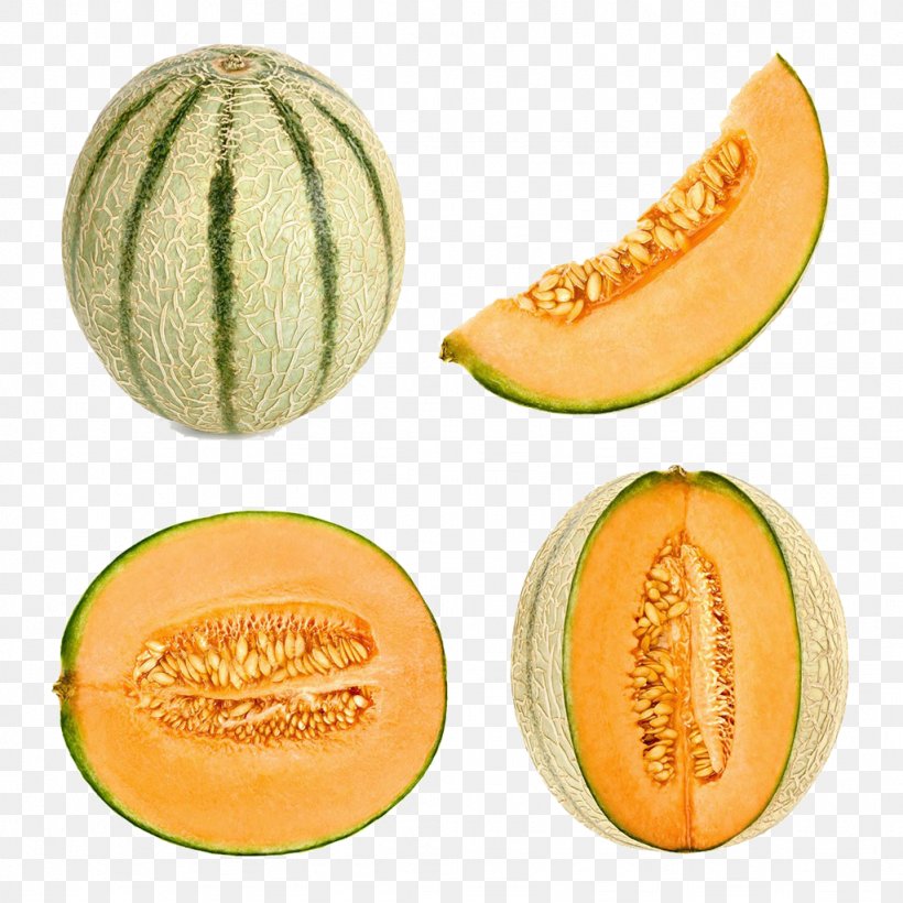 Cantaloupe Honeydew Melon Frutti Di Bosco Stock Photography, PNG, 1024x1024px, Cantaloupe, Can Stock Photo, Cucumber Gourd And Melon Family, Cucumis, Food Download Free