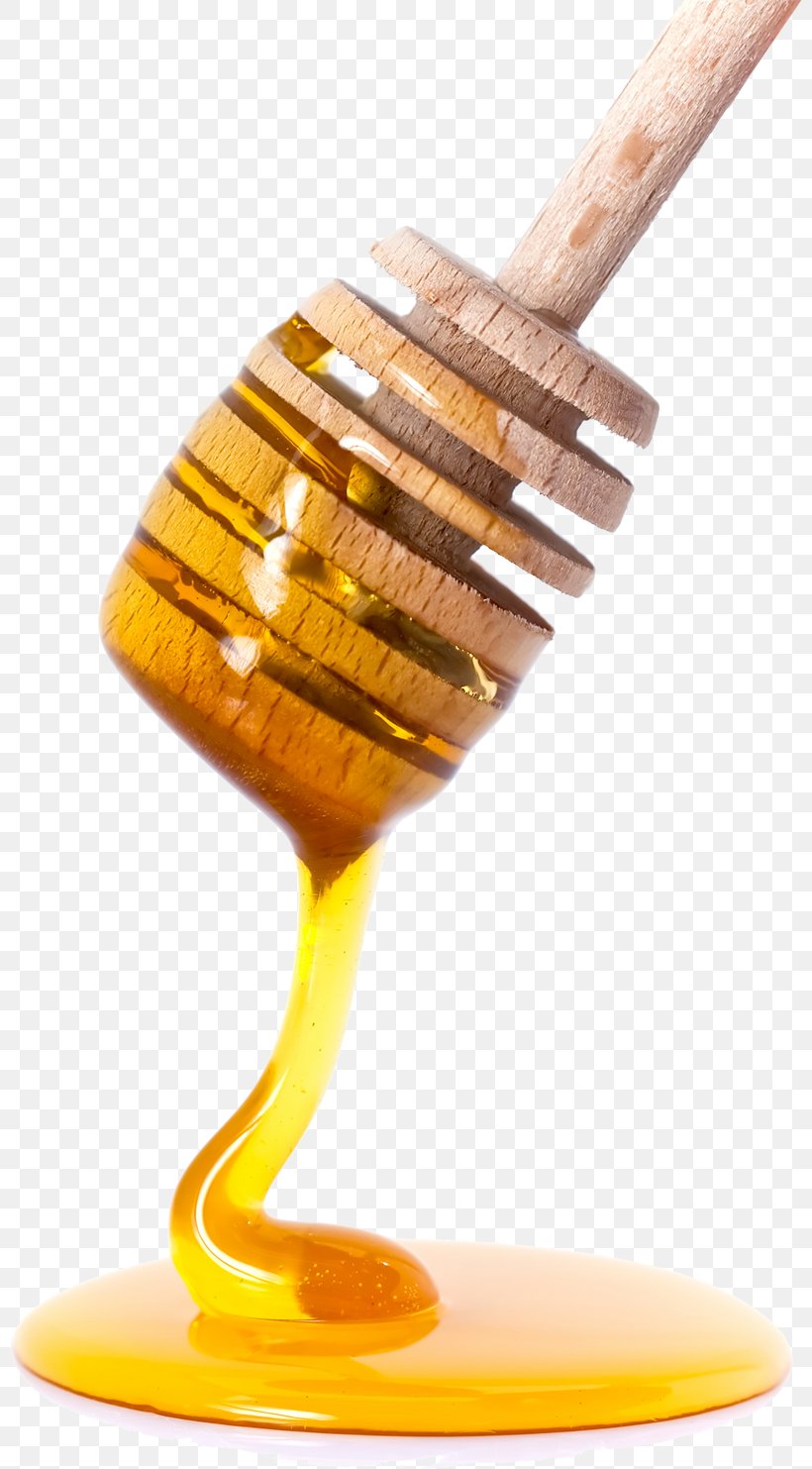 Honey Bee Clip Art, PNG, 800x1483px, Bee, Cutlery, Food, Honey, Honey Bee Download Free