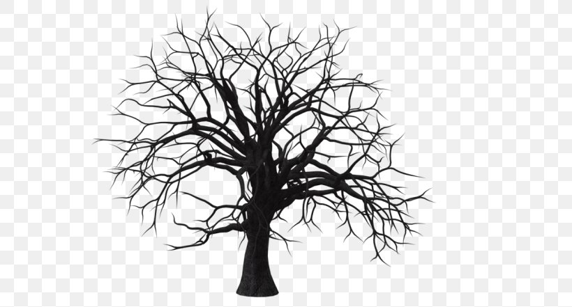 Image Clip Art Drawing Photography, PNG, 700x441px, Drawing, Art, Artist, Blackandwhite, Branch Download Free