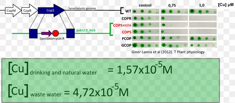 Screenshot Line Green Angle Research, PNG, 1649x727px, Screenshot, Area, Brand, Computer, Computer Program Download Free