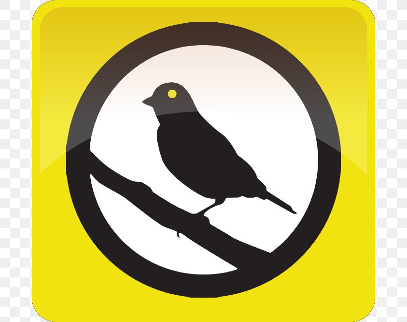 Warrant Canary Domestic Canary National Security Letter Electronic Frontier Foundation, PNG, 692x650px, Warrant Canary, Beak, Bird, Bitfinex, Court Download Free