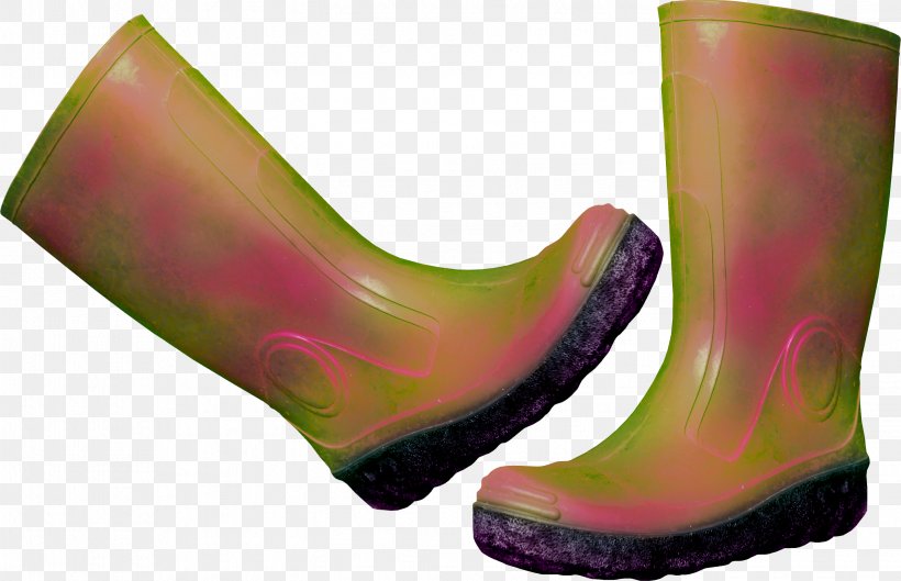 Wellington Boot Creativity, PNG, 2893x1869px, Boot, Boots Uk, Creativity, Designer, Display Resolution Download Free
