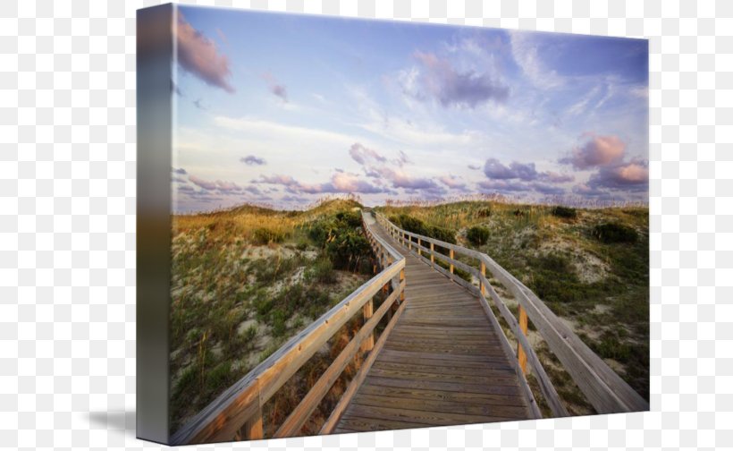 Wood Gallery Wrap Boardwalk Ocracoke Photography, PNG, 650x504px, Wood, Art, Boardwalk, Canvas, Gallery Wrap Download Free