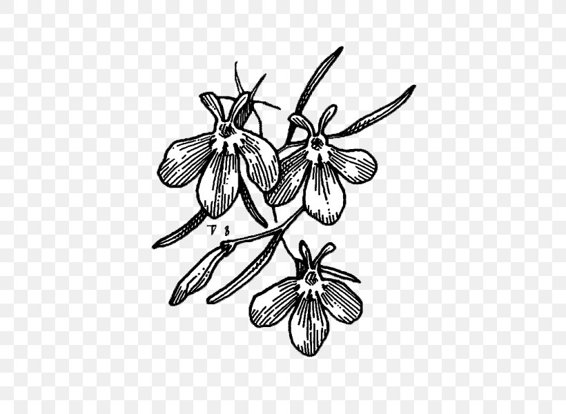 Drawing Symmetry Line /m/02csf Pattern, PNG, 600x600px, Drawing, Artwork, Bee, Black And White, Branch Download Free