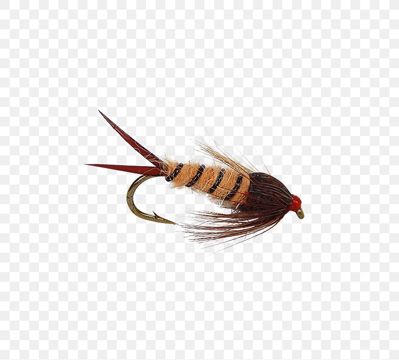 Insect Artificial Fly Spoon Lure If(we), PNG, 555x741px, Insect, Artificial Fly, Feather, Fishing Bait, Fishing Lure Download Free