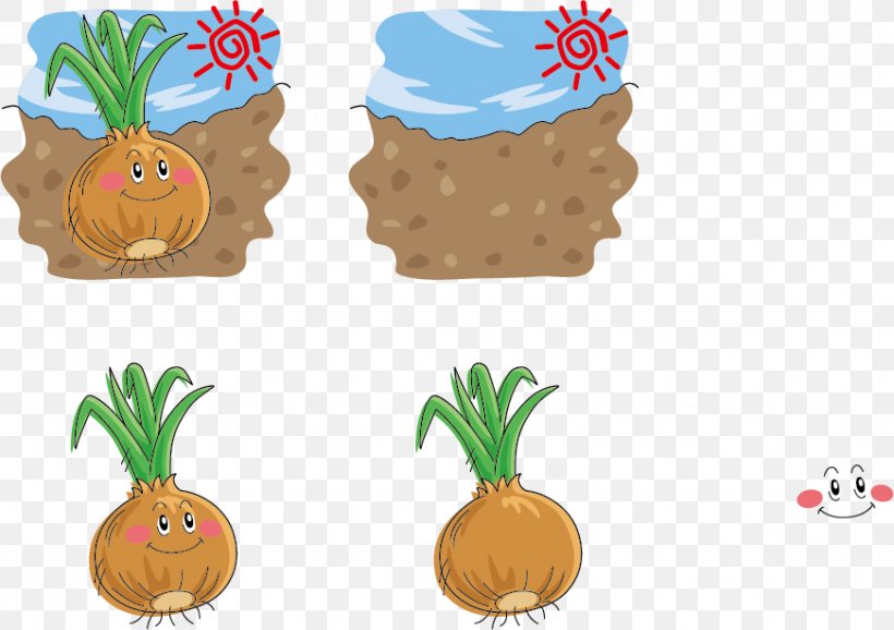 Onion Chowder Vegetable Illustration, PNG, 871x614px, Onion, Ananas, Bromeliaceae, Cartoon, Chowder Download Free