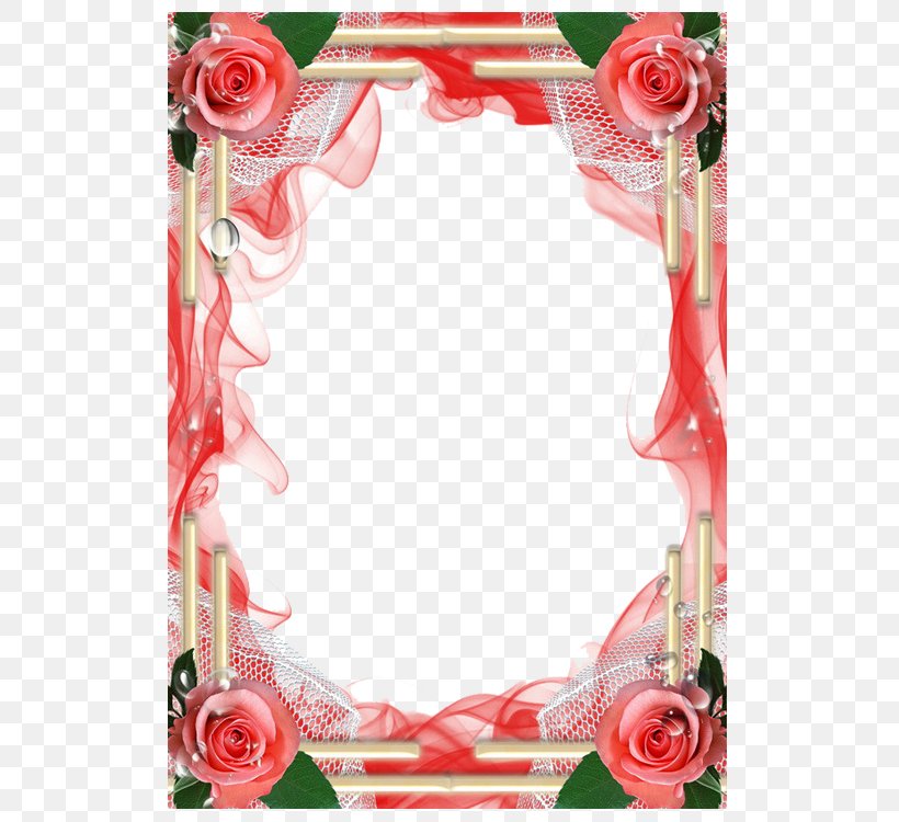 Picture Frame Photography, PNG, 750x750px, Picture Frame, Ansichtkaart, Flower, Garden Roses, Image Sharing Download Free