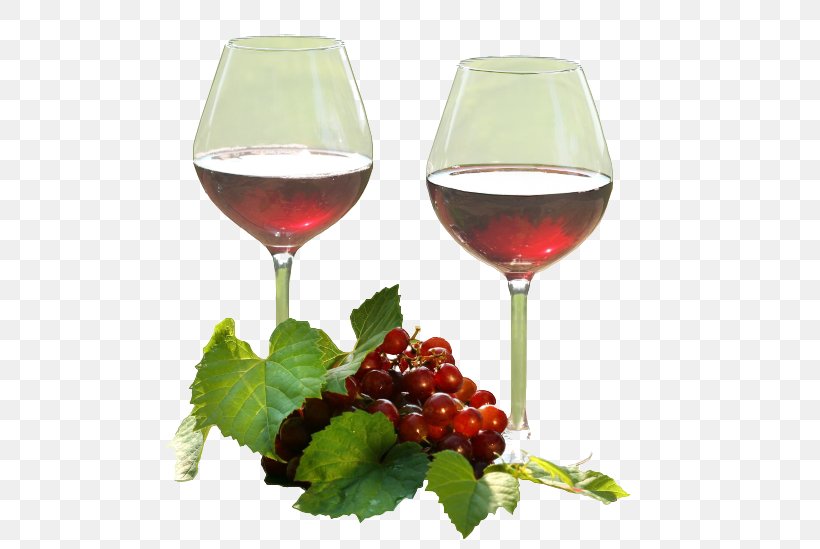 Wine Glass Red Wine The Complete Wine Guide For Beginners Wine Cocktail, PNG, 527x549px, Wine Glass, Champagne Glass, Champagne Stemware, Cocktail, Drink Download Free