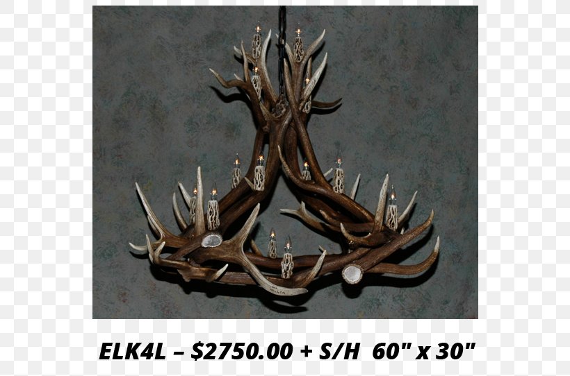 Elk White-tailed Deer Antler Moose, PNG, 736x542px, Elk, Antler, Antlers By Cody, Chandelier, Deer Download Free