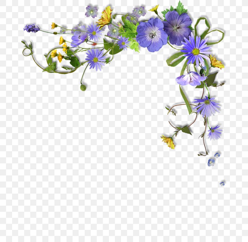 Flower Photography Paper, PNG, 682x800px, Flower, Blossom, Blue, Branch, Cut Flowers Download Free