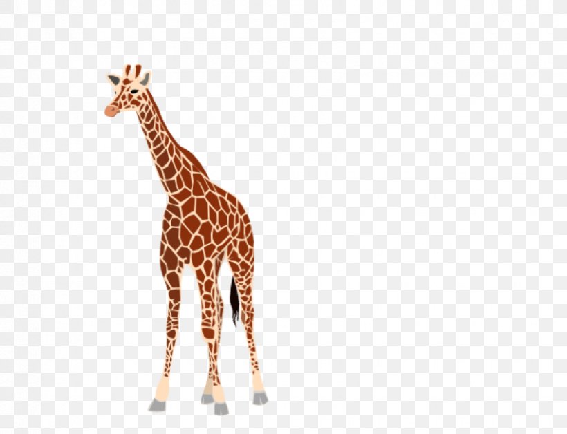 Giraffe Clip Art, PNG, 850x651px, Giraffe, Animal Figure, Giraffidae, Image File Formats, Mammal Download Free