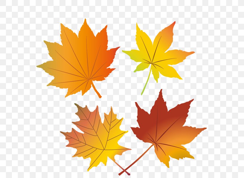 Autumn Clipart, PNG, 600x600px, Autumn Leaf Color, Autumn, Leaf, Maple, Maple Leaf Download Free