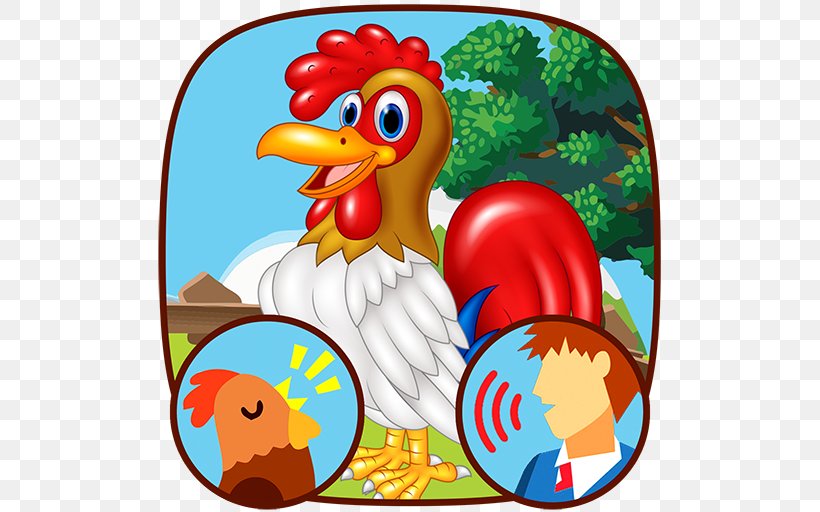 Bird Cafe Bazaar Chicken Animal Galliformes, PNG, 512x512px, Bird, Android, Animal, Beak, Cafe Bazaar Download Free