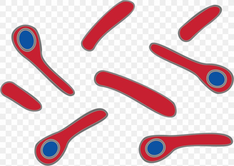 Clostridium Tetani Tetanus Bacterial Cell Structure Virus, PNG, 1221x871px, Clostridium Tetani, Antibody, Antigen, Bacillus, Bacteria Download Free