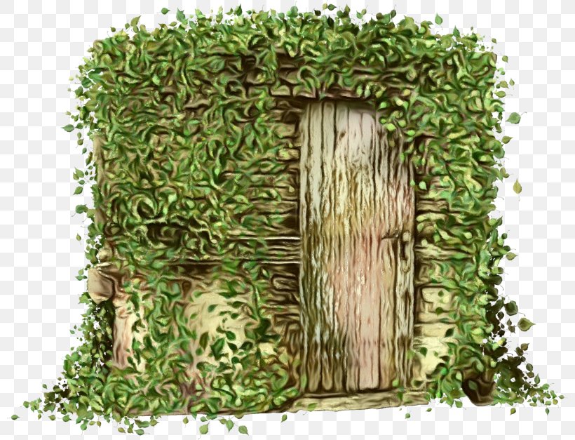 Ivy, PNG, 800x627px, Watercolor, Arch, Architecture, Grass, Hedge Download Free