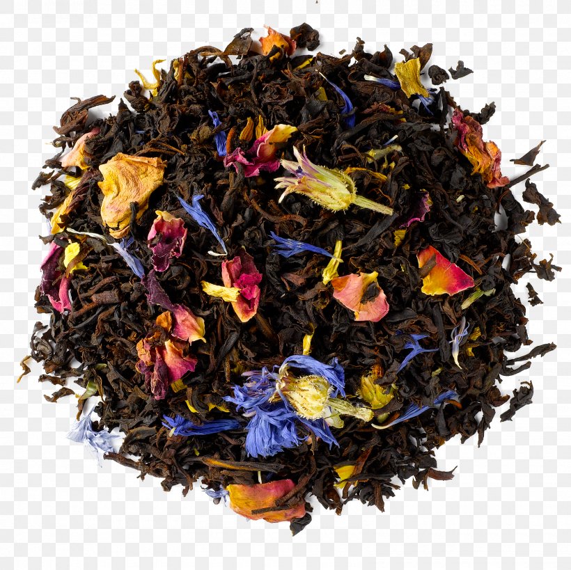 Nilgiri Tea Oolong Tea Plant Superfood, PNG, 1600x1600px, Nilgiri Tea, Assam Tea, Ceylon Tea, Da Hong Pao, Dianhong Download Free