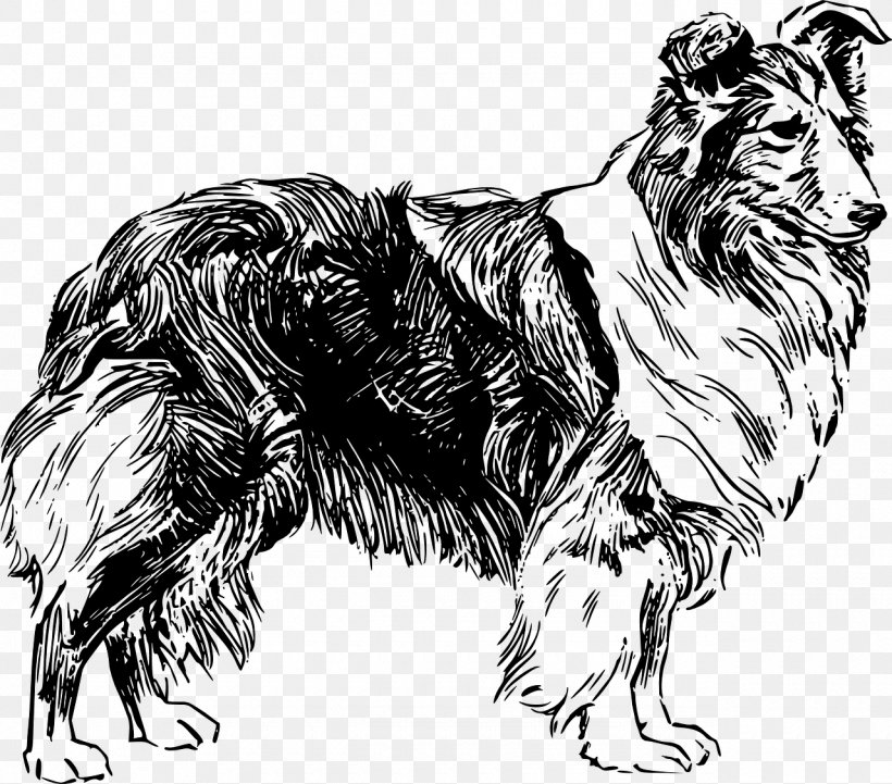 Shetland Sheepdog Old English Sheepdog Welsh Sheepdog Catalan Sheepdog Rough Collie, PNG, 1280x1126px, Shetland Sheepdog, Belgian Shepherd, Big Cats, Black And White, Carnivoran Download Free