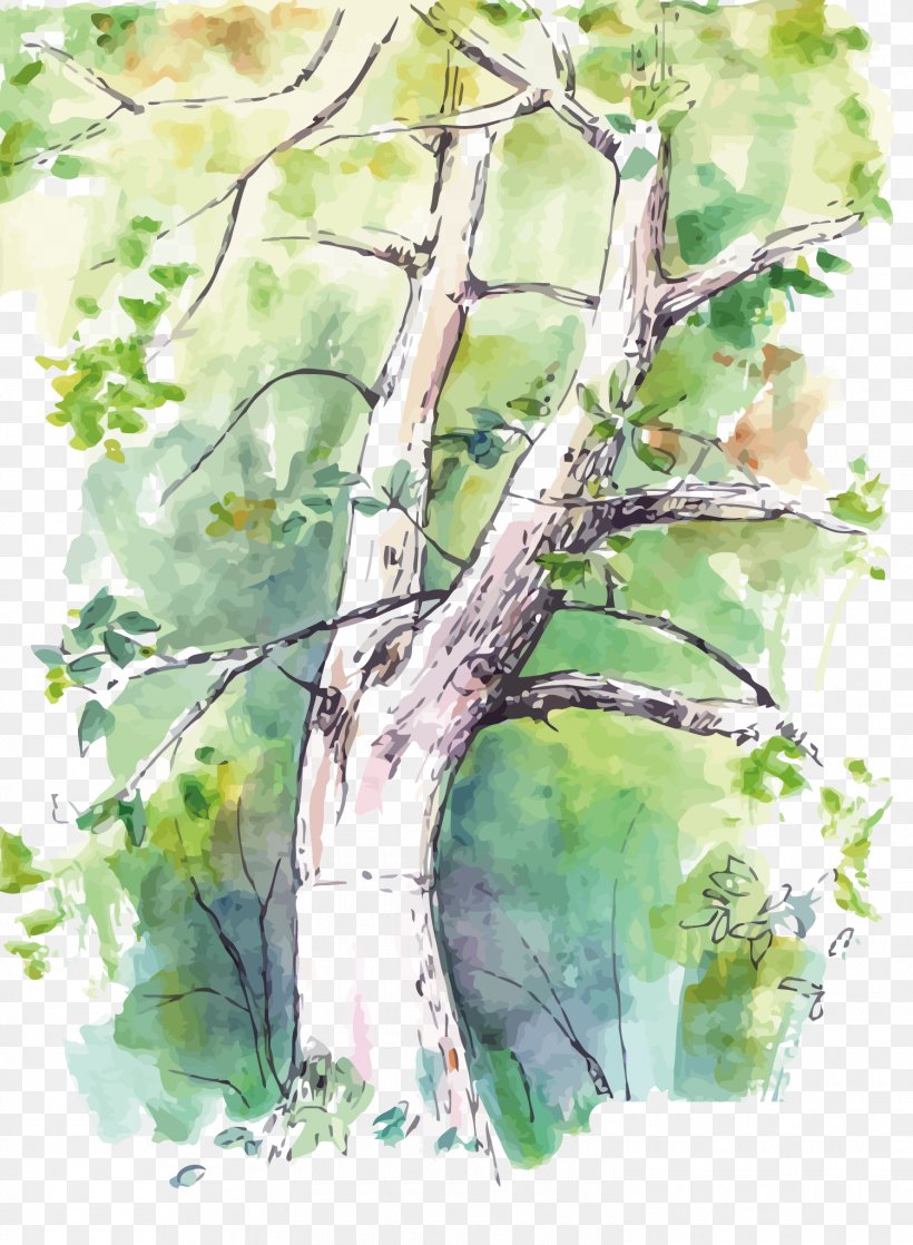 Watercolor Painting Birch Twig Tree, PNG, 1500x2046px, Watercolor Painting, Art, Birch, Branch, Color Download Free
