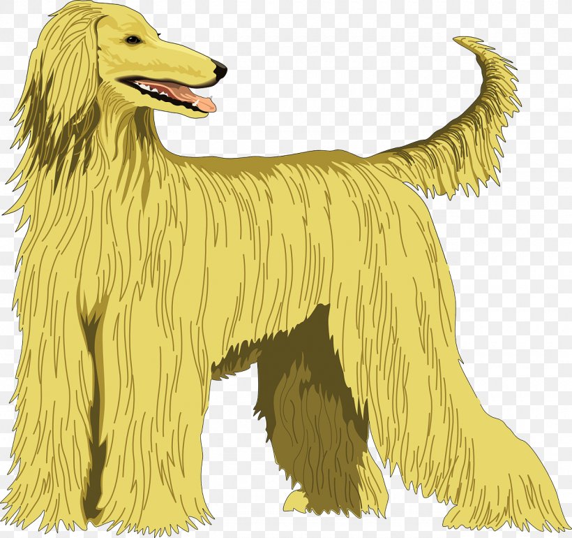 Afghan Hound Saluki Ancient Dog Breeds Taigan, PNG, 1280x1202px, Afghan Hound, Afghanistan, Ancient Dog Breeds, Breed, Breed Group Dog Download Free