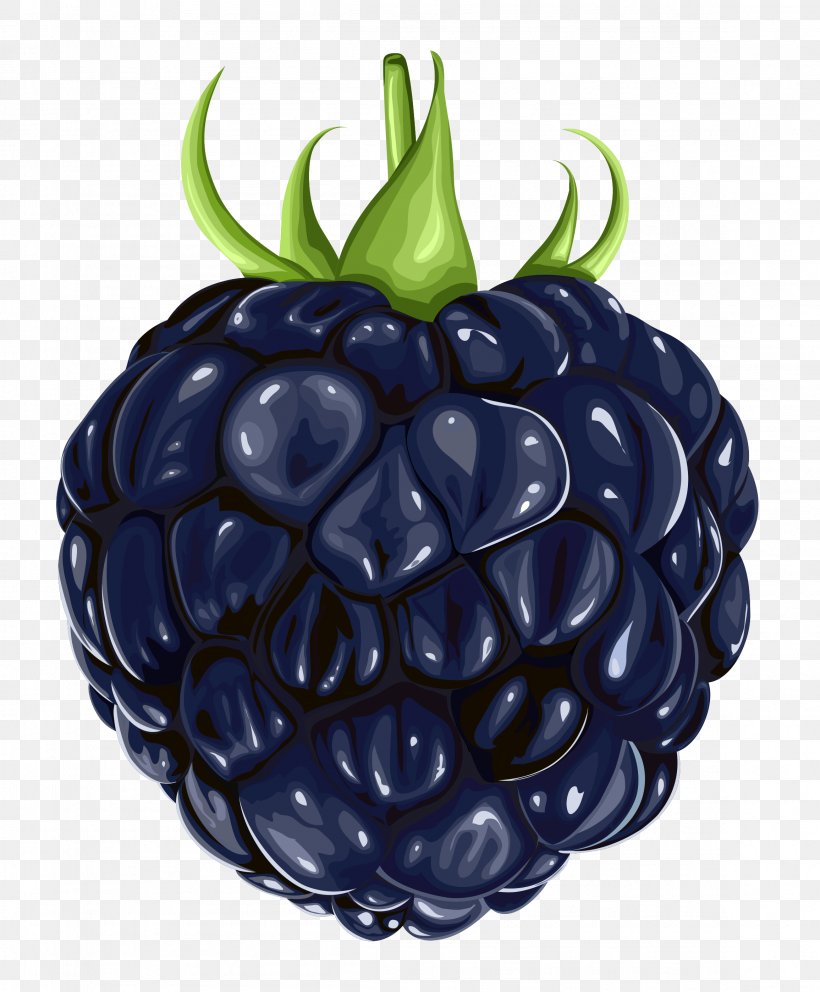 Blackberry Fruit Clip Art, PNG, 2311x2797px, Blackberry, Berry, Food, Fruit, Plum Download Free