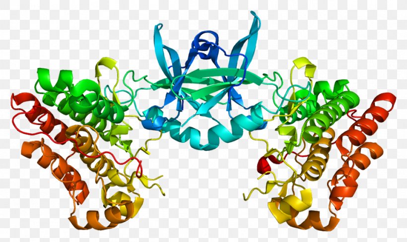 TEK Tyrosine Kinase Receptor Tyrosine Kinase Angiopoietin Receptor, PNG, 962x573px, Watercolor, Cartoon, Flower, Frame, Heart Download Free