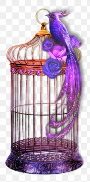 Deco - Bird .de Purple PNG