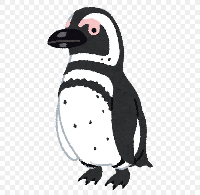 Magellanic Penguin African Penguin Humboldt Penguin Antarctica, PNG, 583x800px, Penguin, African Penguin, Antarctica, Banded Penguin, Beak Download Free