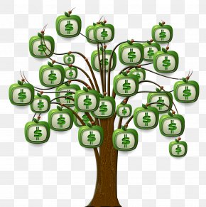 Dollar Tree - Moneytree Finance Binary Option PNG