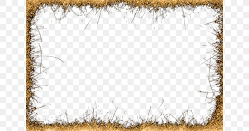 Rectangle Pattern, PNG, 650x433px, Rectangle, Grass, Symmetry, Texture Download Free