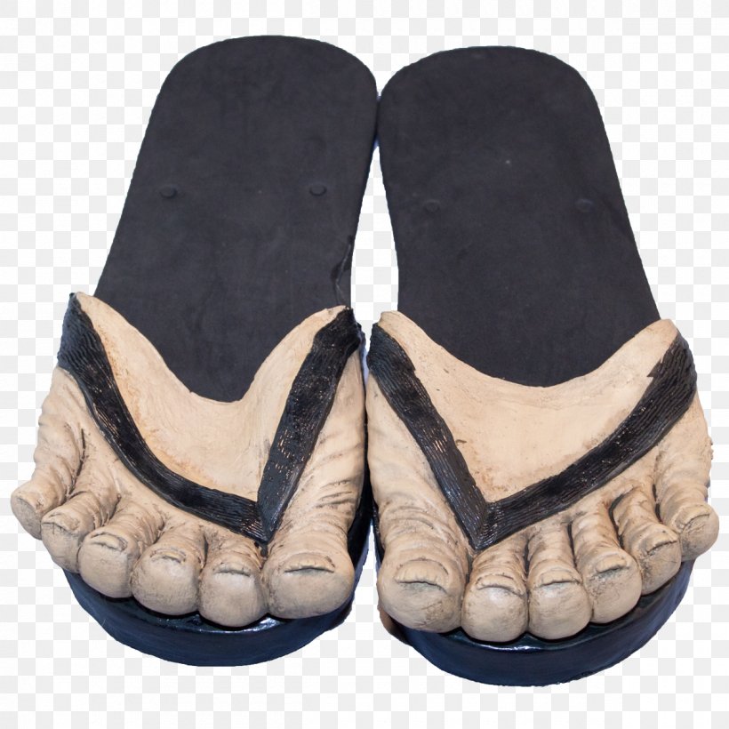 Slipper Foot Shoe Sandal, PNG, 1200x1200px, Slipper, Flipflops, Foot, Footprint, Footwear Download Free