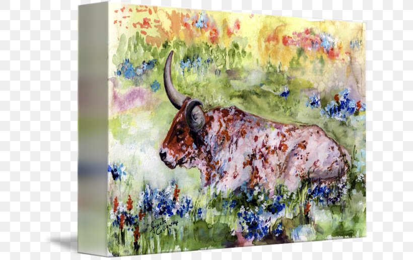 Texas Longhorn Watercolor Painting Gallery Wrap English Longhorn, PNG, 650x516px, Texas Longhorn, Art, Bluebonnet, Bull, Canvas Download Free