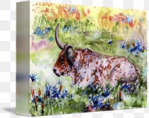 Painting - Texas Longhorn Watercolor Painting Gallery Wrap English Longhorn PNG
