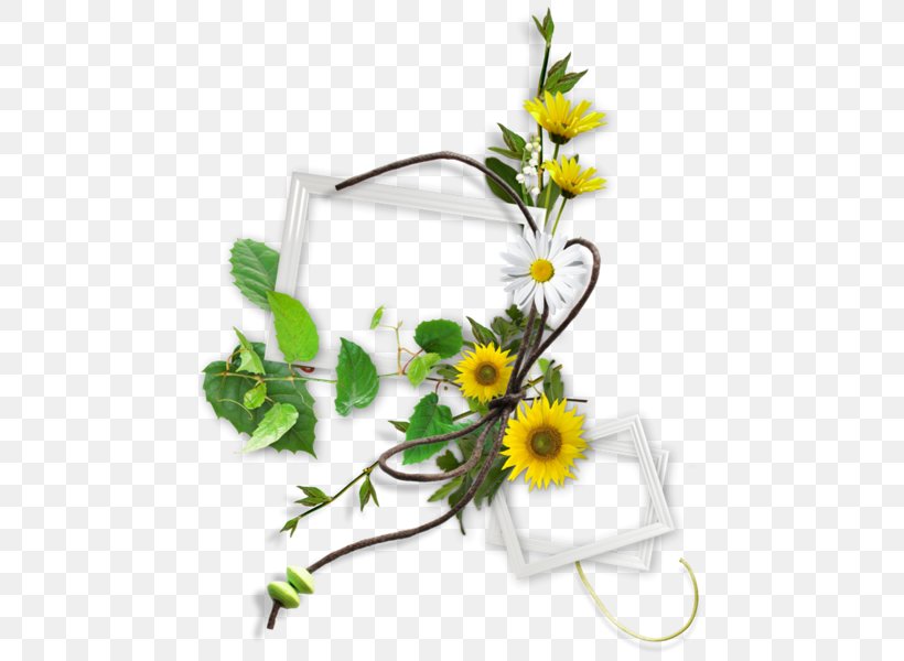 Chrysanthemum, PNG, 473x600px, Chrysanthemum, Artificial Flower, Cut Flowers, Daisy, Daisy Family Download Free