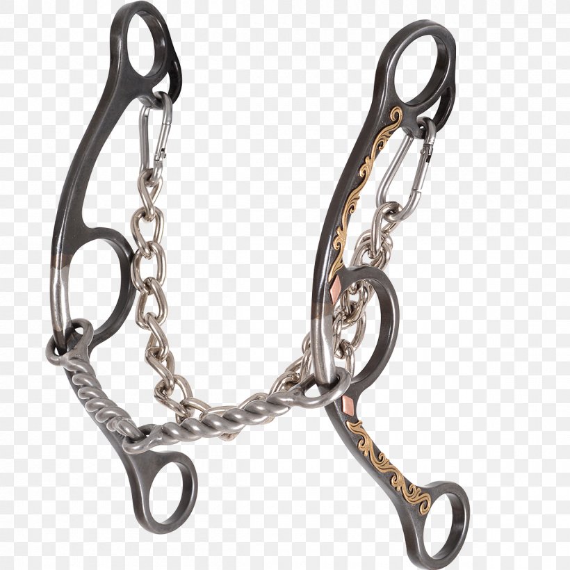 Snaffle Bit Thoroughbred Bit Shank Curb Chain, PNG, 1200x1200px, Bit, Bit Shank, Body Jewelry, Curb Chain, Eventing Download Free