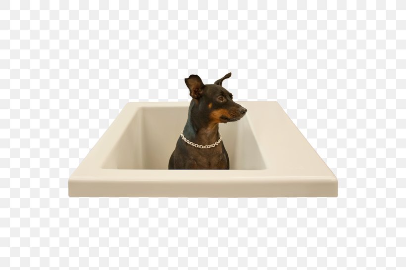 Baths Dog Breed Washing Shower, PNG, 546x546px, Baths, Bathroom, Breed, Do It Yourself, Dog Download Free