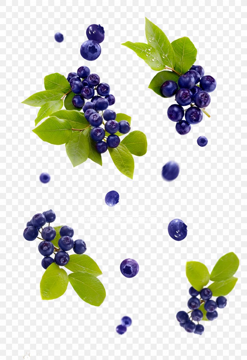 Grape Fruit Blueberry Vegetable Bilberry, PNG, 1100x1603px, Grape, Berry, Bilberry, Blueberry, Blueberry Tea Download Free