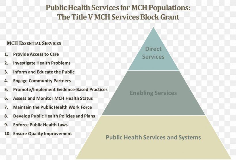 Health Care Public Health Maternal And Child Health Bureau Maternal Health, PNG, 1500x1020px, Health Care, Brand, Child Care, Diagram, Disease Download Free