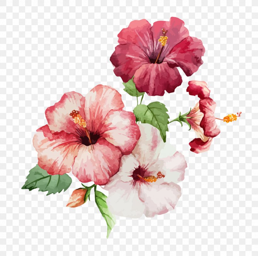Hibiscus Flower Drawing Watercolor Painting, PNG, 1754x1746px, Hibiscus, Annual Plant, Color, Drawing, Floral Design Download Free