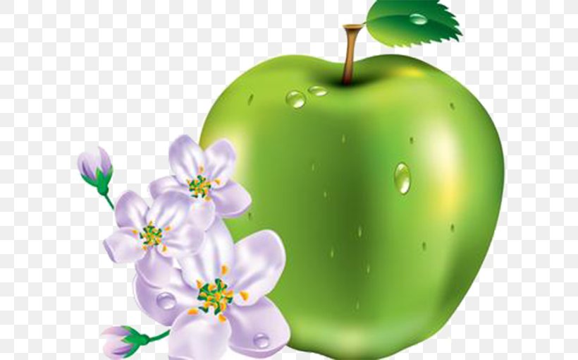 An Apple A Day Keeps The Doctor Away Clipping Path Clip Art, PNG, 614x510px, Apple, Apple A Day Keeps The Doctor Away, Clipping Path, Food, Fruit Download Free