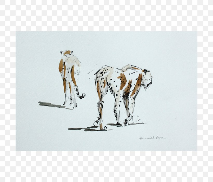 Dalmatian Dog Giraffe Drawing /m/02csf, PNG, 700x700px, Dalmatian Dog, Carnivoran, Dalmatian, Dog Like Mammal, Drawing Download Free