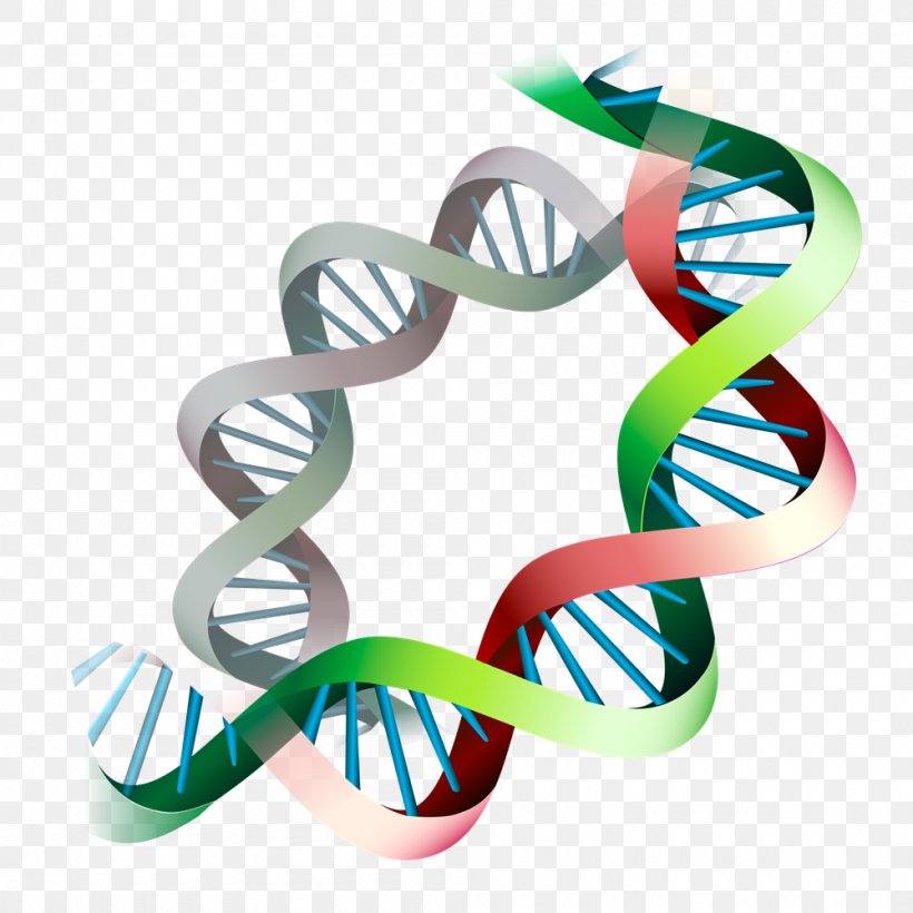 Epigenetics Gene Expression Epigenome DNA, PNG, 1000x1000px, Epigenetics, Clothing Accessories, Diet, Dna, Epigenome Download Free