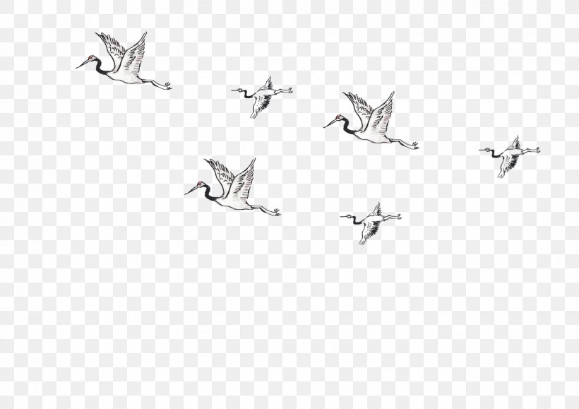 Hummingbird Flight, PNG, 1633x1154px, Bird, Area, Bird Flight, Black, Black And White Download Free