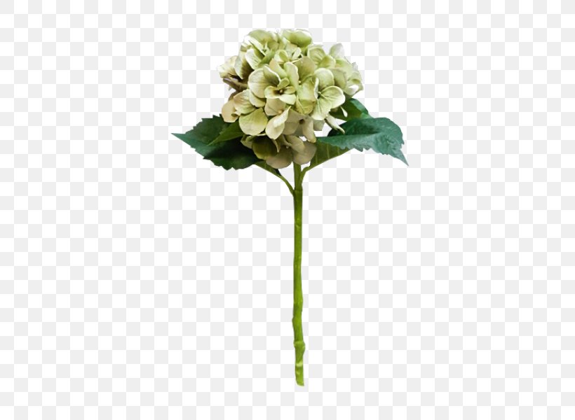 Hydrangea Floral Design Cut Flowers Flower Bouquet, PNG, 800x600px, Hydrangea, Artificial Flower, Cape Jasmine, Cornales, Cut Flowers Download Free